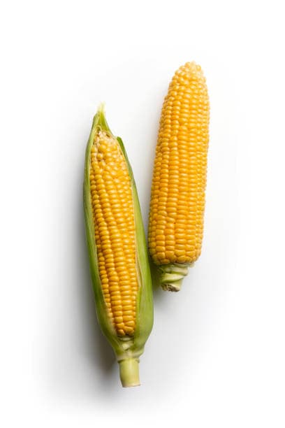 Maize