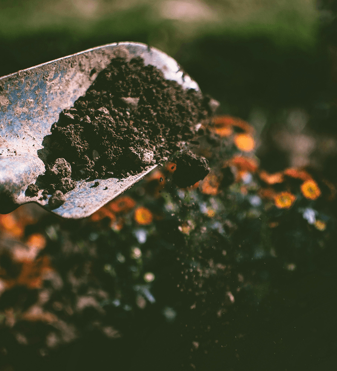 Farming With Intention